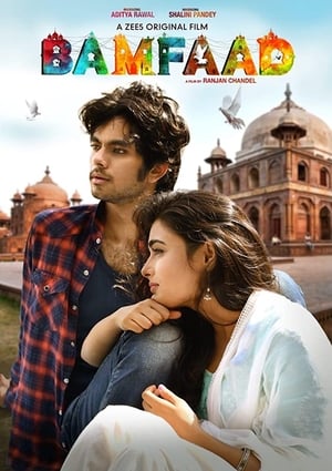 Bamfaad 2020 Hindi Movie [790MB] Movie Poster