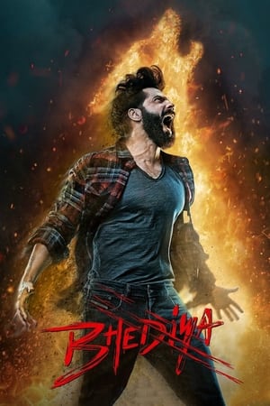 Bhediya 2022 Hindi Movie Pre- – Movie Poster