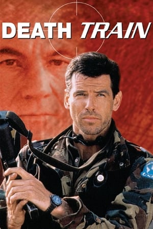 Detonator (1993) Hindi Dual Audio [1GB] Movie Poster