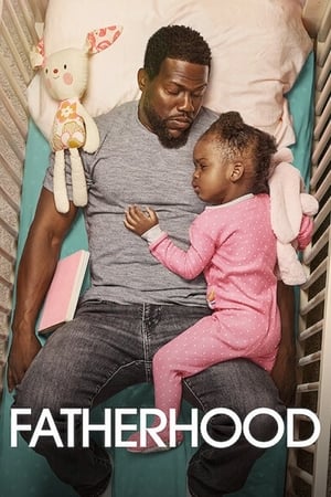 Fatherhood (2021) Hindi Dual Audio 350MB Movie Poster