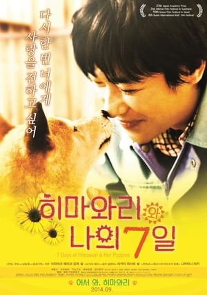 Pup (2013) Hindi Dual Audio [800MB] Movie Poster
