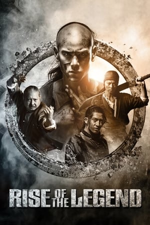 Rise of the Legend 2014 Hindi Dual Audio [1.1GB] Movie Poster