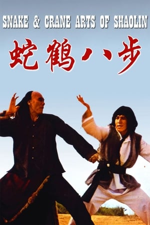 Snake and Crane Arts of Shaolin 1978 Hindi Dual Audio 300MB Movie Poster