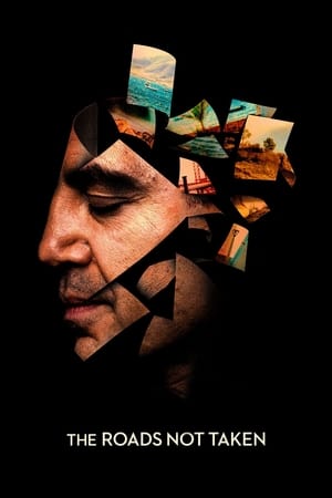 The Roads Not Taken (2020) Hindi Dual Audio – Movie Poster