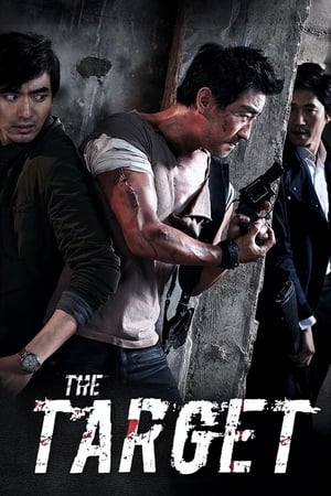 The Target (2014) Hindi Dual Audio 300MB Movie Poster